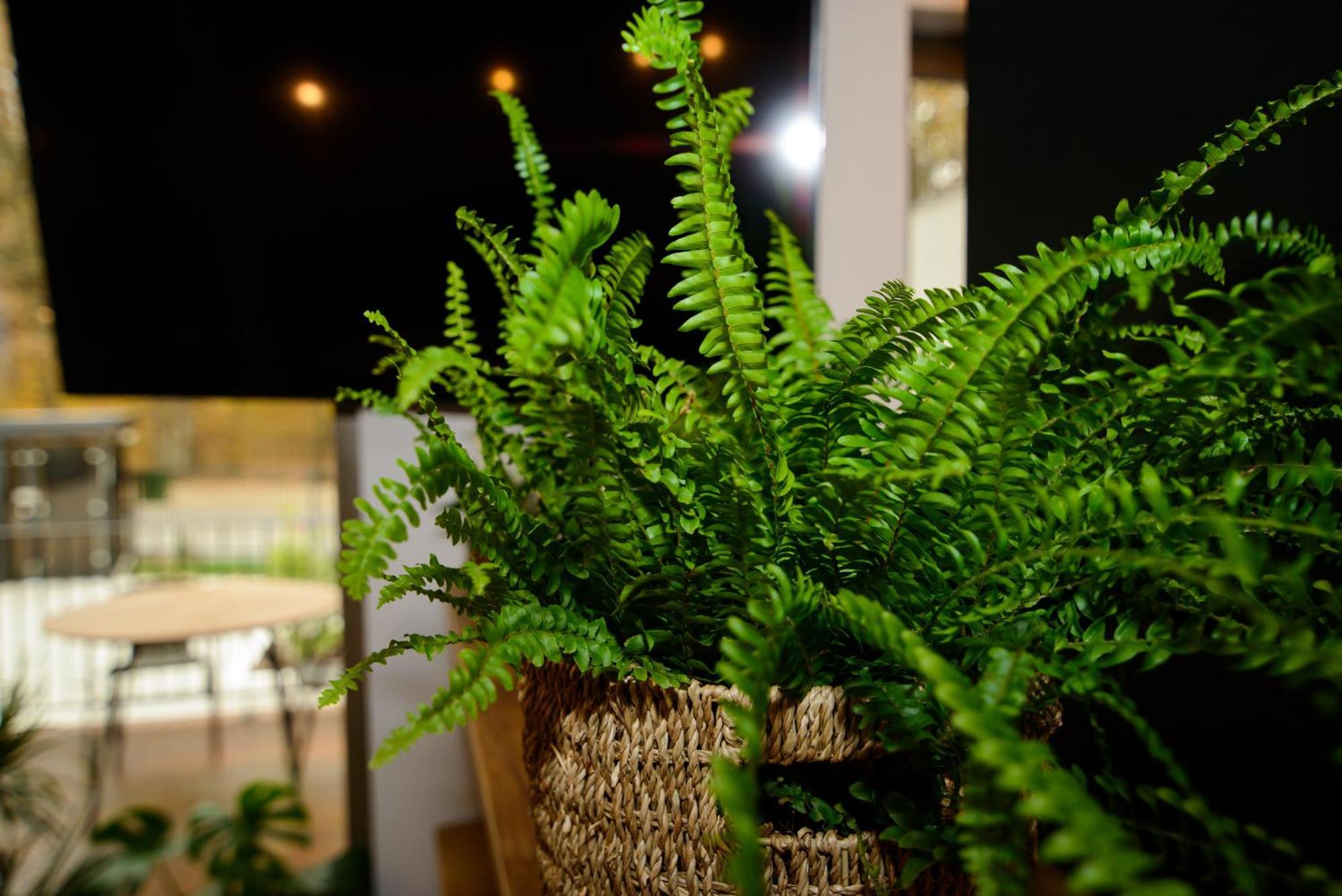 Forest Boutique Питешти Экстерьер фото